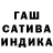 ГАШ гарик David Vasuk