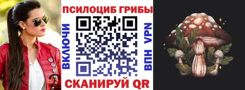 Псилоцибиновые грибы прущие грибы  сколько стоит  MEGA tor  Ачхой-Мартан 